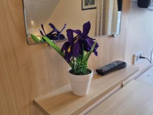 Livingpalanga Meta su balkonu