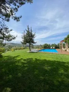 Promachon Villa - 阿默达拉-伊拉克利翁