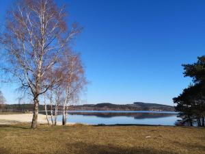 Campings Mobile-home Lac de Vassiviere : photos des chambres