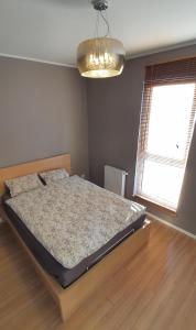 Apartament z widokiem na Staw
