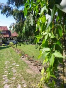 Klinačka priča - Petnica