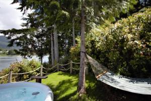 Private Oceanfront Cabin With Hot Tub Doc Holiday Cabin