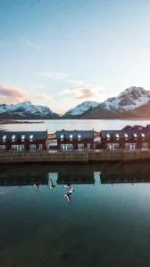 Nappstraumen seafront cabin - Leknes