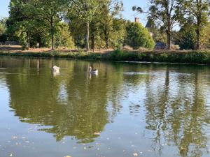 Bateaux-hotels La Toue de Blain : photos des chambres