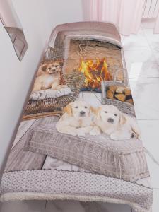 Camera matrimoniale Genova rooms