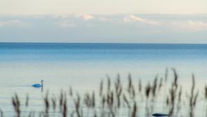 Villa Kuus Sõlme - Sea View Holiday Home