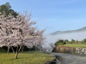 KUMANOYASAI BASE in Chikatsuyu