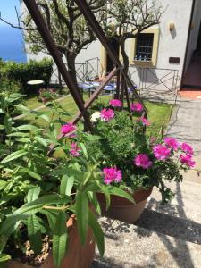 Villa L Eco dell 800