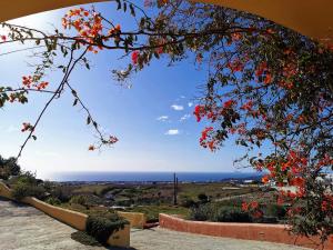 Vineyards Hill Villa Santorini Greece