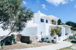 The Elaia House Mykonos