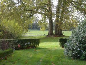 B&B / Chambres d'hotes Chateau du Fraisse : photos des chambres