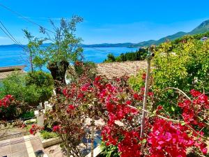 Nissaki Apartments and Vasilis House