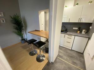 Downtown Flat under Spilberk Castle