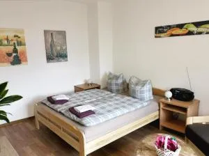Ferien-und Gästewohnung Radebeul - Oberlössnitz