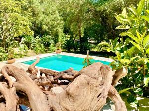 Villa Eva Agni with private pool by DadoVillas