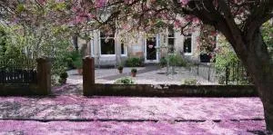 Lochinver Guesthouse - 艾尔