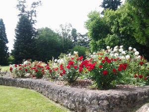 Hotels La Renaudiere : photos des chambres