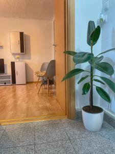 Gray Apartment for couples