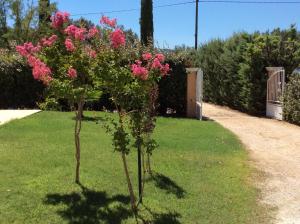 Villas Villa Faro Provence Var : photos des chambres