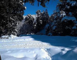Camping Huts at Lord Shiva Camps