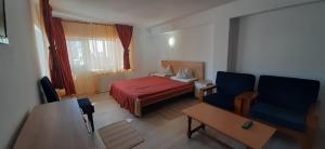 One-Bedroom Apartment room in Cazare Casa Cristina