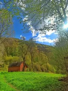 Еко Садиба Під Полониною - Sasivka