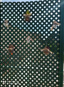 Fantastic, 100 meters from the beach