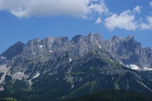 One-Bedroom Apartment with Mountain View room in Ferienwohnung Steiner in Scheffau