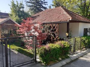Kuca za odmor Ana, Sokobanja