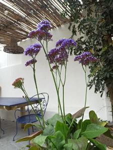 Surf & Kite - Villa Nortada