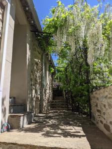 B&B / Chambres d'hotes Le Moulin d'Arcas. : photos des chambres