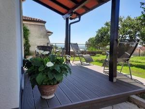 Apartment Orange tree 