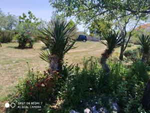 Holiday Home Ružmarin