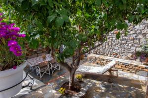 The Backyard Fishermans House