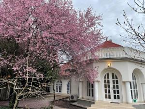 SunGarden Vendégház