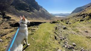The Old Anchor B&B Annascaul