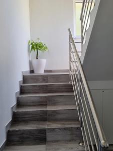 Apartmani Šalković