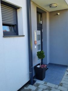 Apartmani Šalković