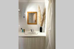 Appartements Appartement avec jardin -alentours Ajaccio centre : photos des chambres