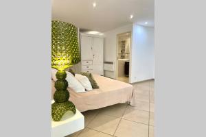 Appartements Appartement avec jardin -alentours Ajaccio centre : photos des chambres