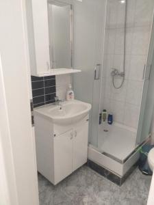 Apartmani Loznica