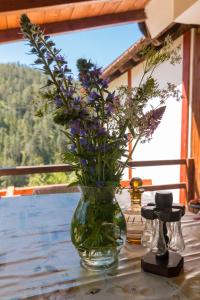 Kuca za odmor ANKA ZAOVLJANKA