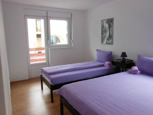 Apartman Savić