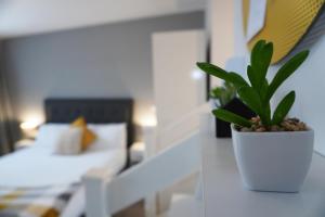 VIP Church Loft Apartment