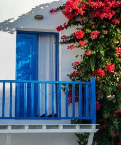 Meltemi Folegandros Greece