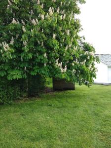 O abeiro de Buscalte