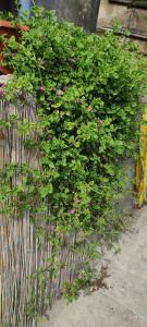 La casetta in collina