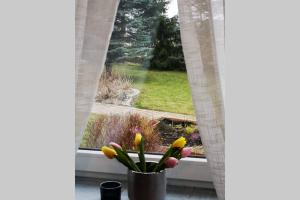 Apartament Mnichowo