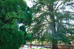 Sporting Lodge Shanagolden