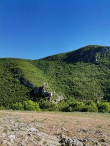 Apartman ST.Nedeljkovic Sokobanja